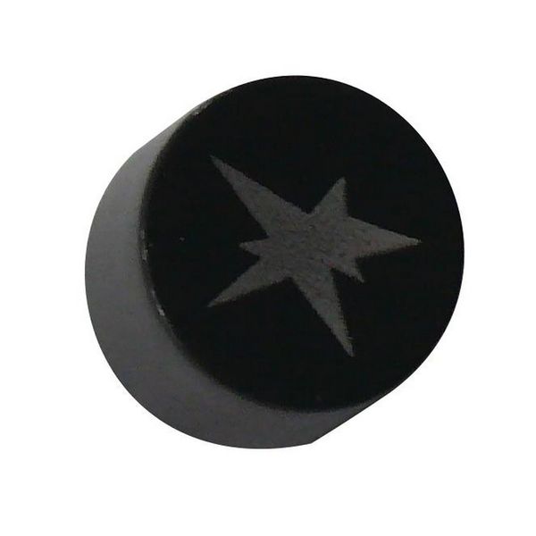 Ignition Button (82614285)