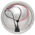 AAA 12V Stainless Steel Light LED 4" Dome (137mm) - Warm White