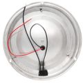 AAA 12V Stainless Dome Light Warm White LED 168mm 5" Dome