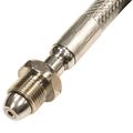 Clesse 33" Stainless Pigtail W20 to Pol with Non-Return Valve